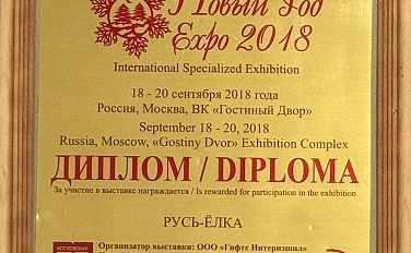 Диплом осень 2018